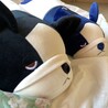 あみろん