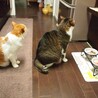 順番待ち