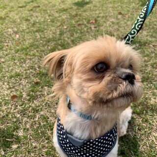 元気！無邪気！ポジティブ！ポパイくん