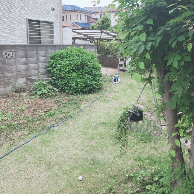 cocossiのカバー写真
