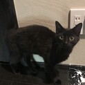 超絶甘えん坊！愛彦（まなひこ）約半年