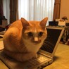 ちゃいくん