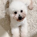 たくさんのご応募ありがとうございました