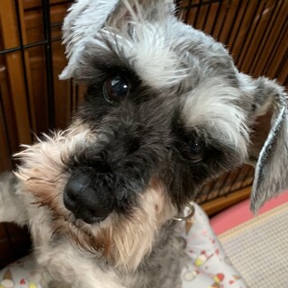 甘えたで人が大好きな女の子♪