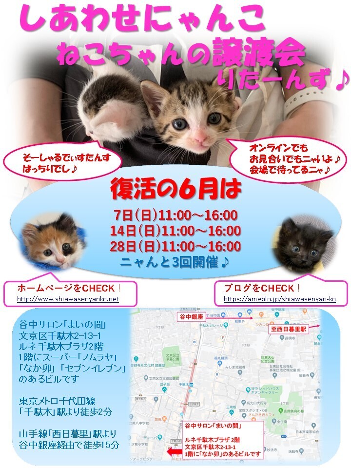 ♪しあわせにゃんこ♪猫ち」（しあわせにゃんこのイベント #9876 