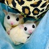 カップリングに成功❤️