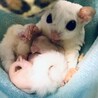 双子ちゃん生まれましたぁ❣️