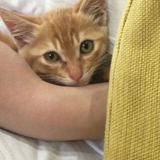 里親様が決まりました！
