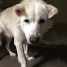 譲渡されました！！ サムネイル2
