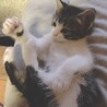  さん