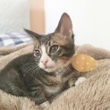 美形男子ですが。。ひょうきんさんです♡