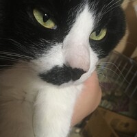 小太郎