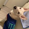○お見合い決定