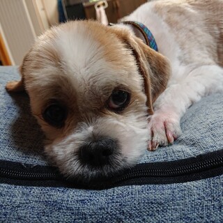 仮名：けんじろう