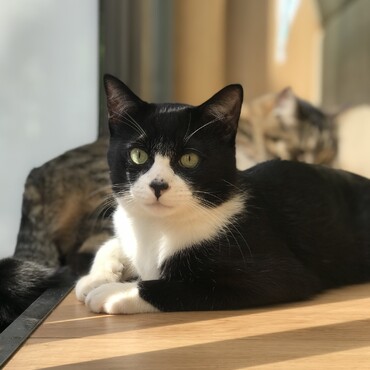 の写真