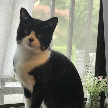 本当にもう別人(猫)みたい☺️