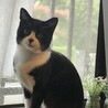 本当にもう別人(猫)みたい☺️