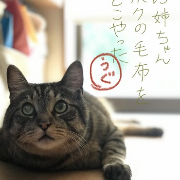 先月の25日に7歳になりました