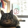 先月の25日に7歳になりました