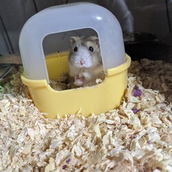 「もうすぐ半年」サムネイル2