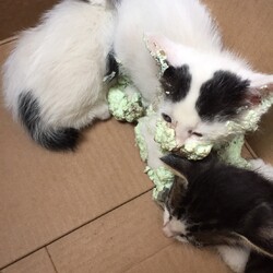 ひどい目にあいました①
