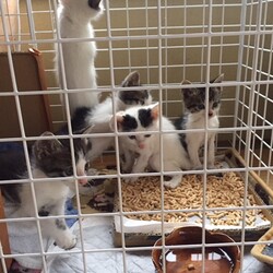 「ひどい目にあいました②」サムネイル2