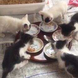 ひどい目にあいました③
