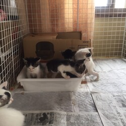 「ひどい目にあいました③」サムネイル2