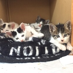 「ひどい目にあいました③」サムネイル3