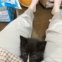 甘えん坊のクリちゃん