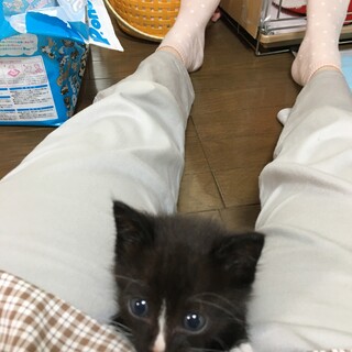 甘えん坊のクリちゃん