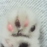 ニクキュー
