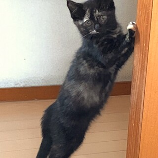 サビの魅力が満載 詰まってませんか？