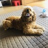 の写真