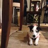 ばるばら