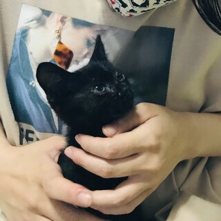 里親様決定致しました！