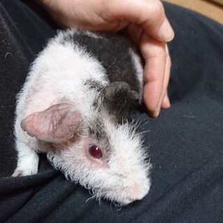 スキニー親子。