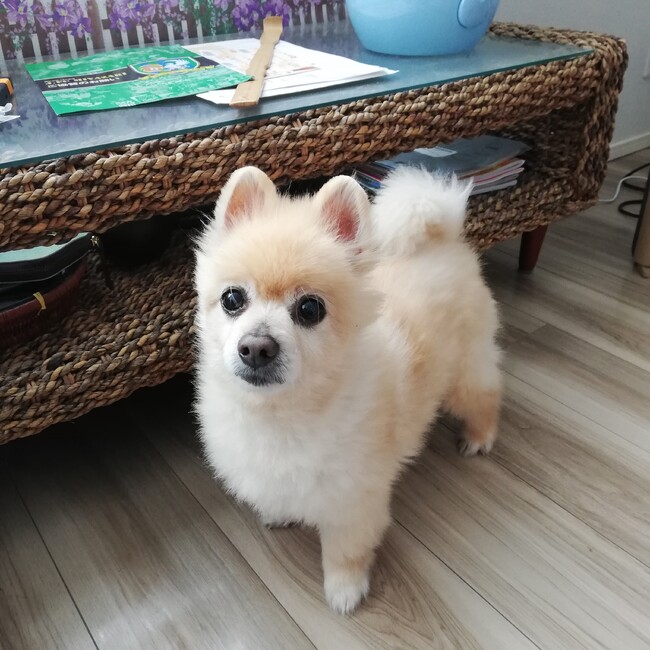 ソノシュウのカバー写真