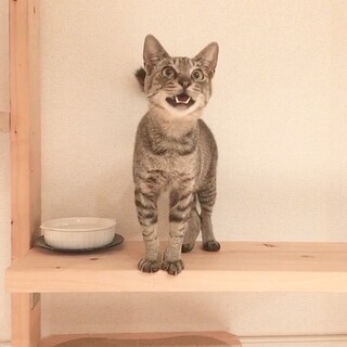 細身で小顔、人が大好きです♡