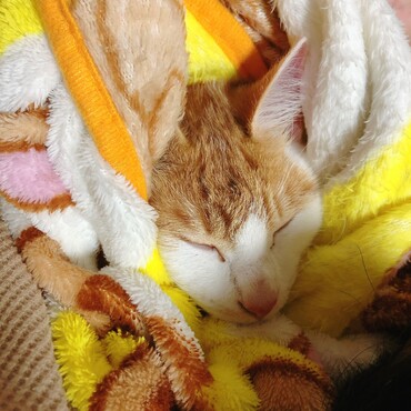 寝ることが大好き♡