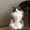 アクエリアス1