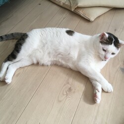 「ユズコさん、屋内耐久かくれんぼ」サムネイル1