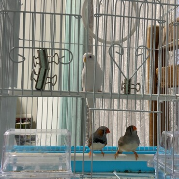 みんなで遊びに来てるよ！！