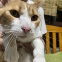 人が大好き甘えん坊
