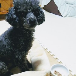 ぺたんこなので