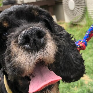 たくさん愛情注いであげてね♡かなでちゃん♩