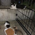 1カ月くらい