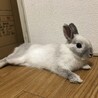 の写真