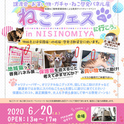 『〜にゃんだらけの部屋へようこそ〜ねこフェスin西宮 Vo.1』