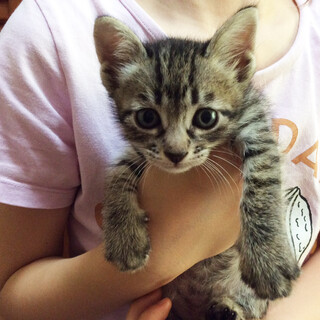 一旦停止いたします